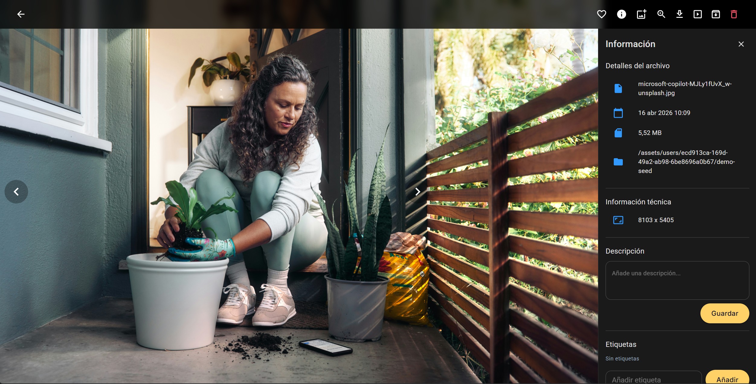 Detalle de asset en Photonne en escritorio